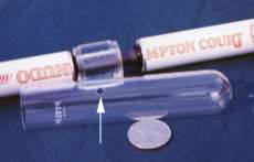 d3s.jpg (4392 bytes)